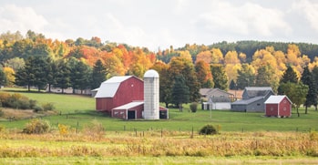 usda-rural-development-loans-min