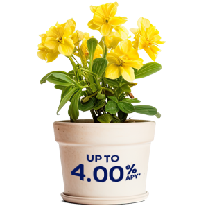 Up to 4.00 percent APY