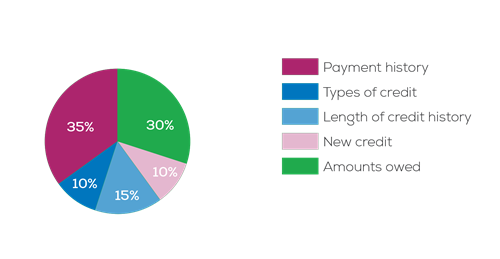 Understanding and improving your FICO score