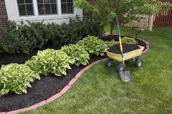 mulch is an affordable way to spruce up your yard