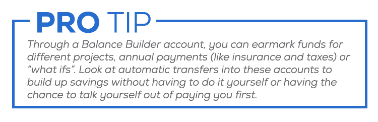 Through a Balance Builder account, you can earmark funds for different projects, annual payments or “what ifs”. Look at automatic transfers into these accounts to build up savings without having to do it yourself.