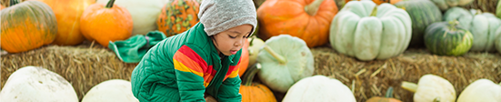 Kid with fall pumpkins
